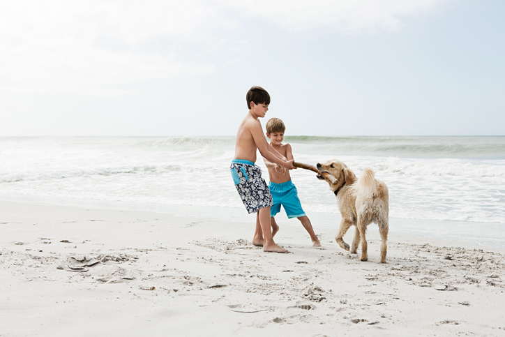 Children playing with a dog at the beach
