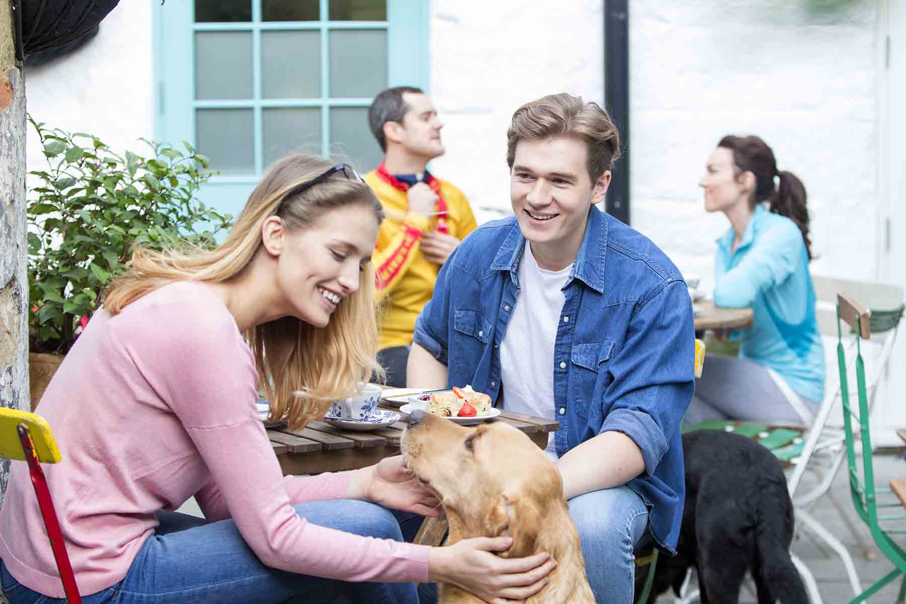 Dog on outdoor patio of cafe with owners